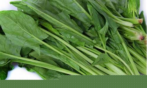 菠菜发布网论坛:菠菜信息大全(最全菠菜网大全)