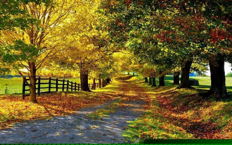 线上菠菜入口:菠菜联盟担保大全(菠菜担保平台) (2)