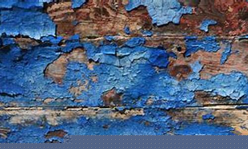 网上菠菜直营(网上菠菜直营店能买吗)