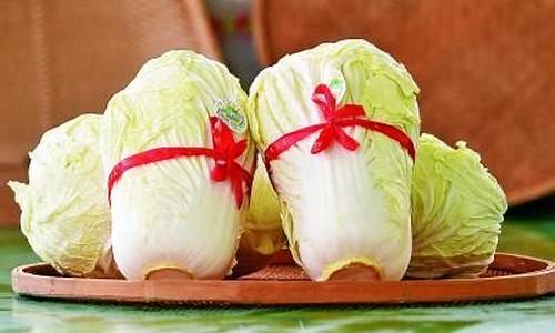 cp白菜网导航:白菜资讯大全(白菜大全 - 网络娱乐交流论坛