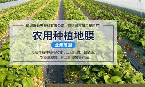 专业菠菜导航官网(bc菠菜导航)