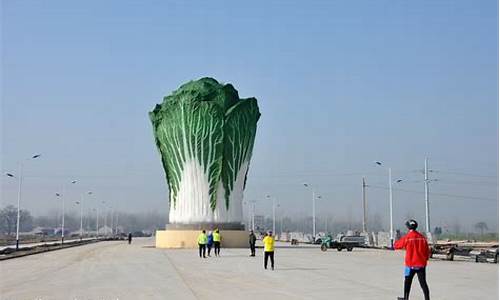 菠菜体育直播:白菜资讯大全