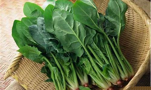  线上菠菜 (2)