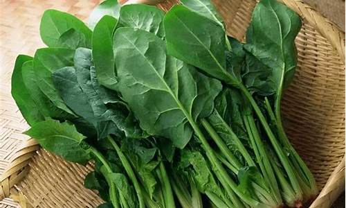 在线注册菠菜公司网:线上国际菠菜(菠菜盘 国际盘)